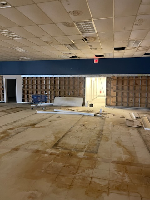 Carp Wall - cape-may-true-value